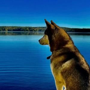 Meet your Posher, Pam